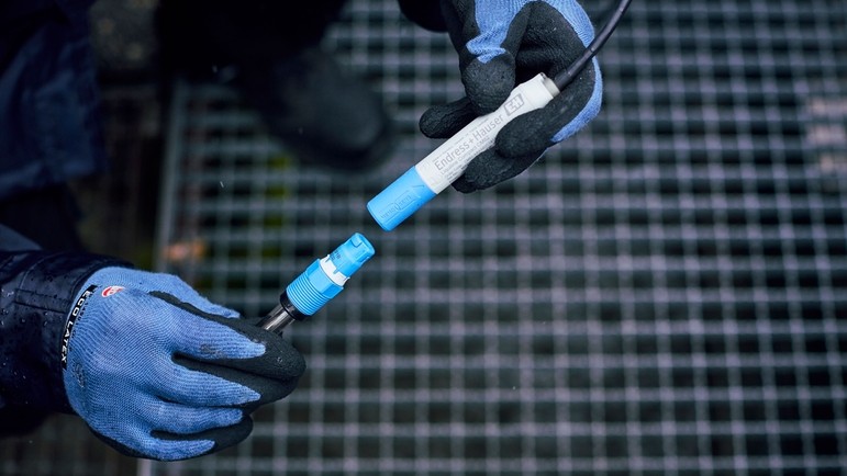 Streamline Process Management